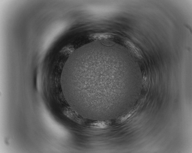 X0000097500381200802291603
