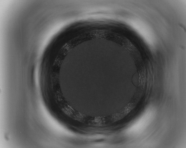X0000097500383200802291603