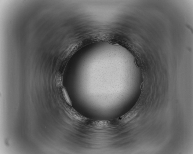 X0000097500384200802291603