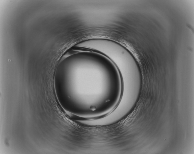 X0000097500385200802291602