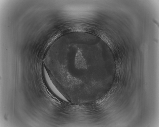 X0000097500386200802291602