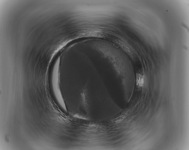 X0000097500388200802291602