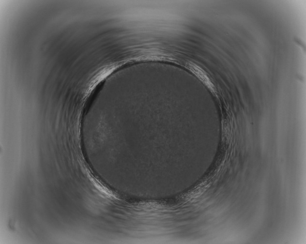 X0000097500389200802291602
