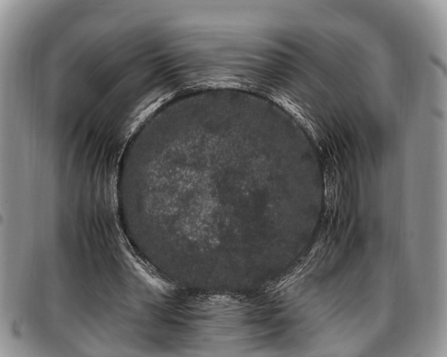 X0000097500390200802291602