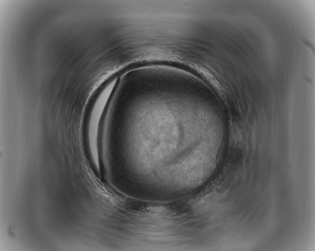 X0000097500391200802291602