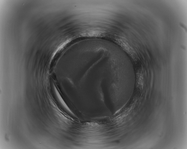 X0000097500392200802291602