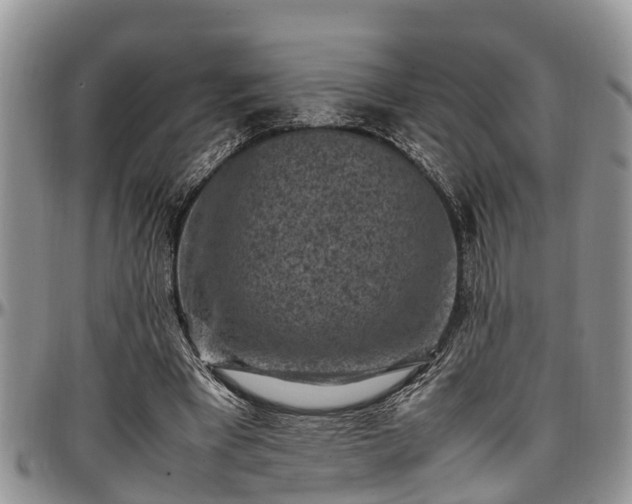 X0000097500393200802291602