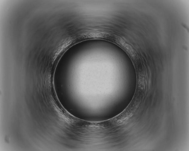 X0000097500394200802291602