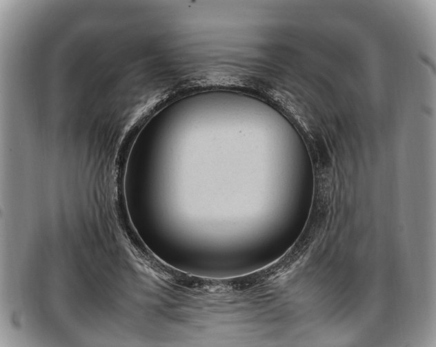 X0000097500395200802291602