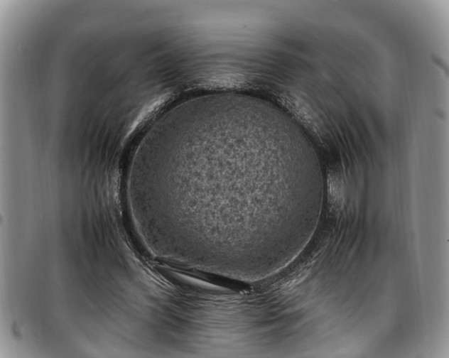 X0000097500396200802291602