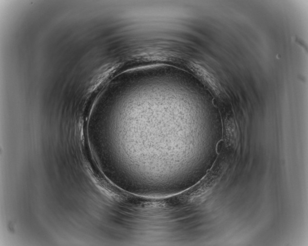 X0000097500398200802291602