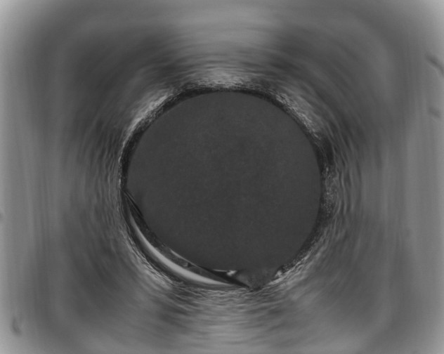 X0000097500399200802291602