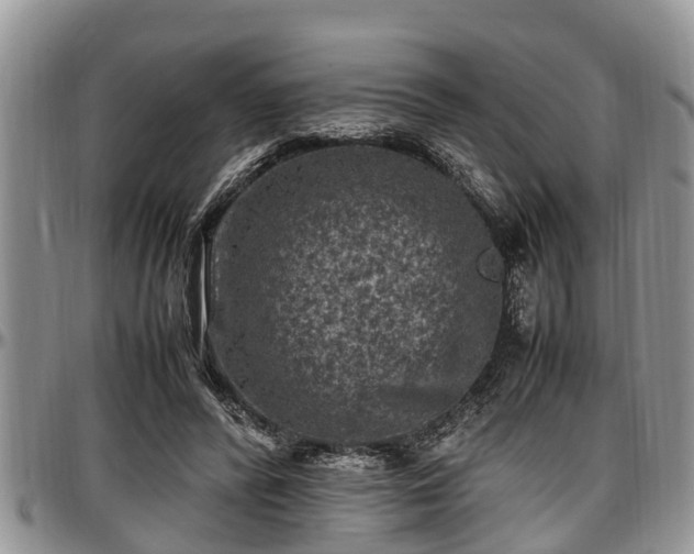 X0000097500400200802291602