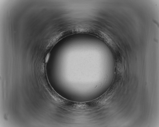 X0000097500401200802291602