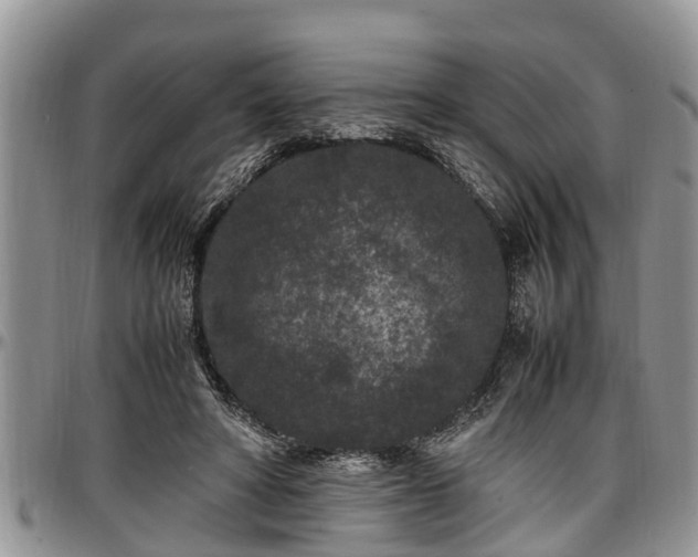 X0000097500402200802291602