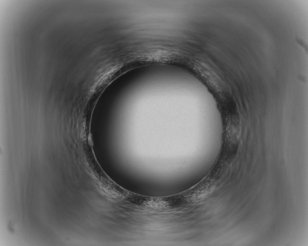 X0000097500403200802291602