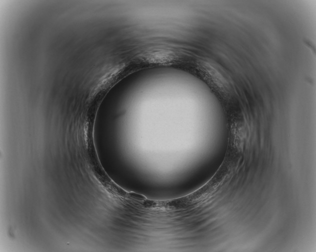 X0000097500404200802291602