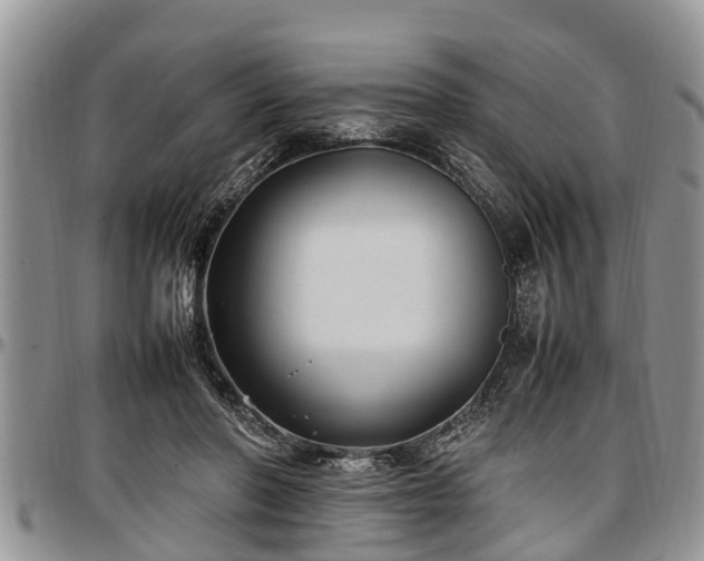 X0000097500406200802291602