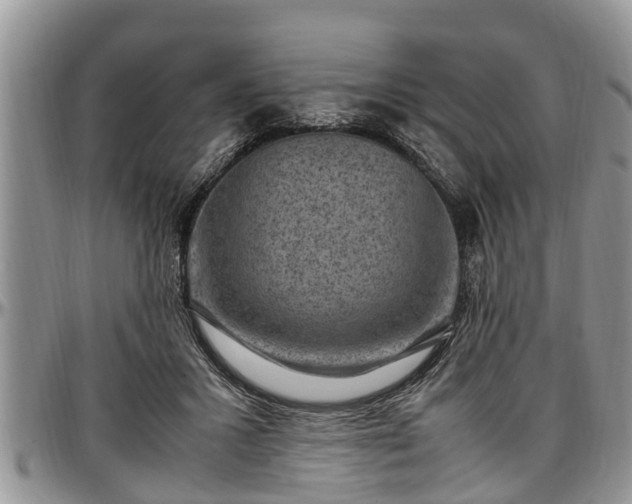 X0000097500407200802291602