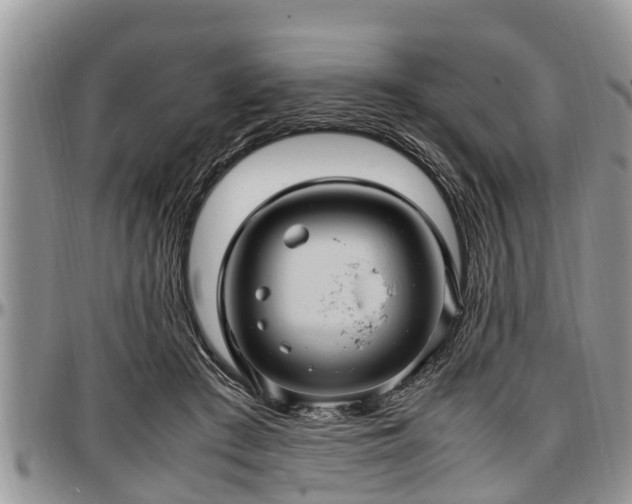 X0000097500409200802291602