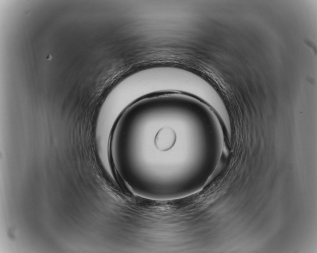 X0000097500411200802291602
