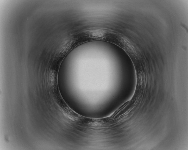 X0000097500412200802291602