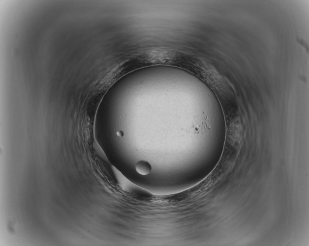 X0000097500413200802291602