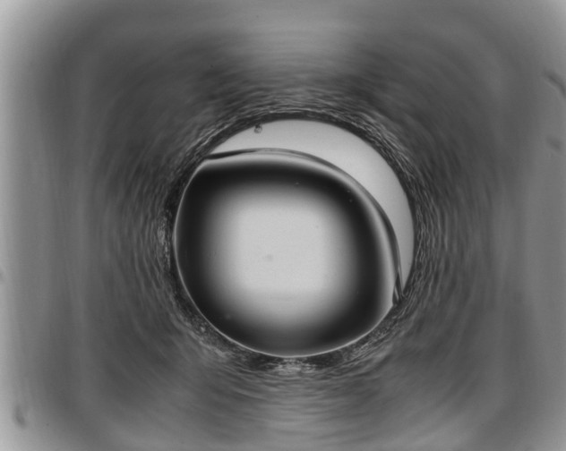 X0000097500415200802291602