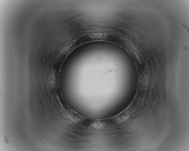 X0000097500416200802291602