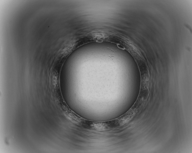 X0000097500417200802291602