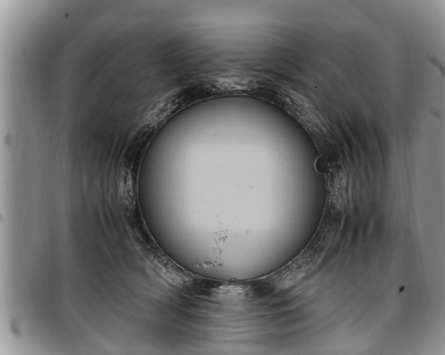 X0000097500418200802291602
