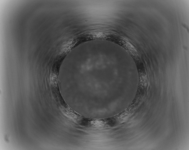 X0000097500419200802291602