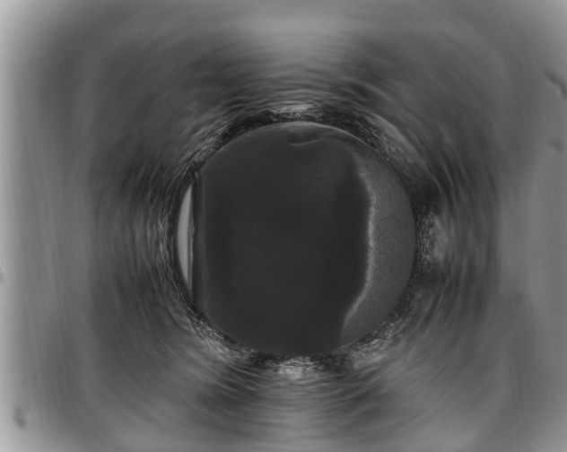 X0000097500420200802291602