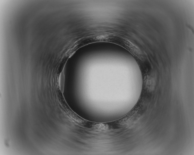 X0000097500421200802291602