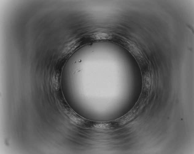 X0000097500422200802291602