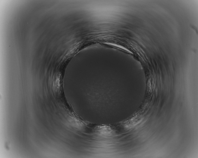 X0000097500424200802291602