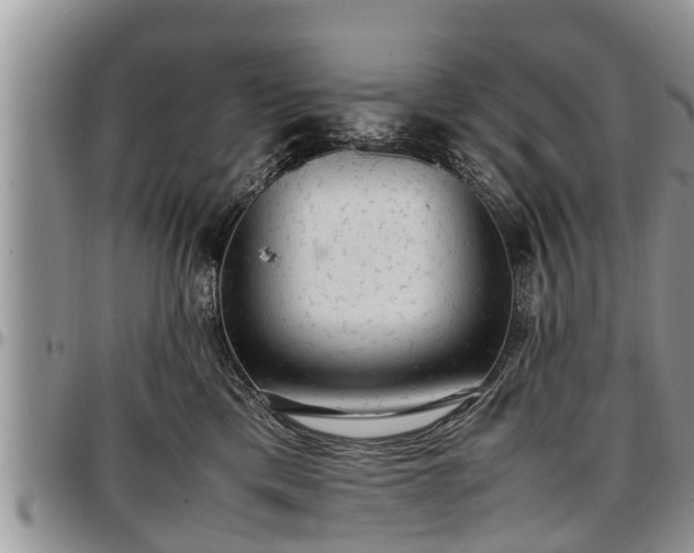 X0000097500425200802291602