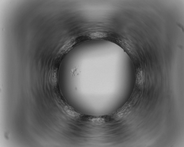 X0000097500426200802291602