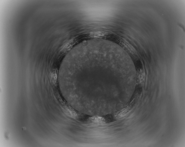 X0000097500427200802291602
