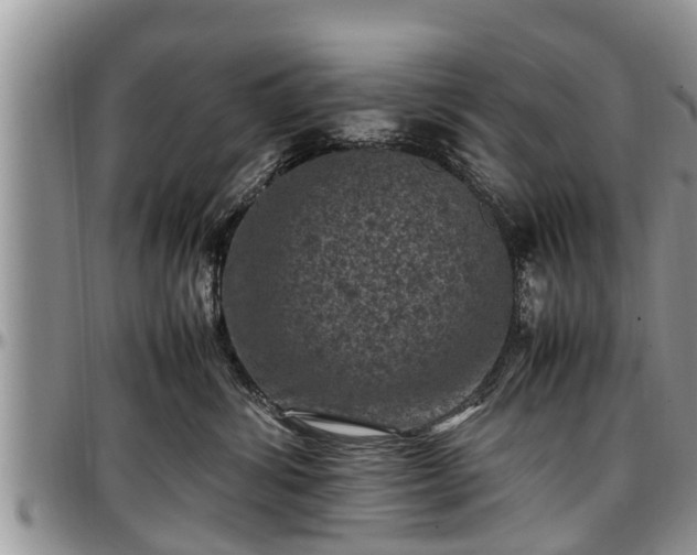 X0000097500428200802291602