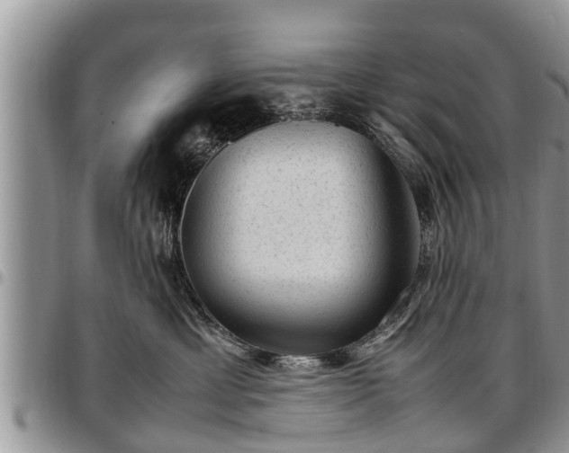 X0000097500429200802291602