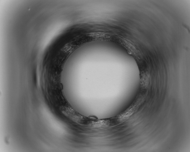X0000097500430200802291602