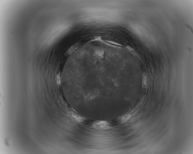 X0000097500431200802291602