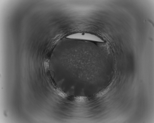 X0000097500432200802291602