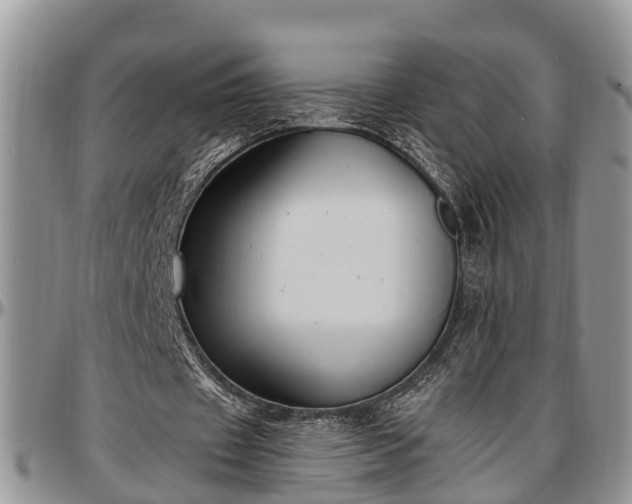 X0000097500433200802291601