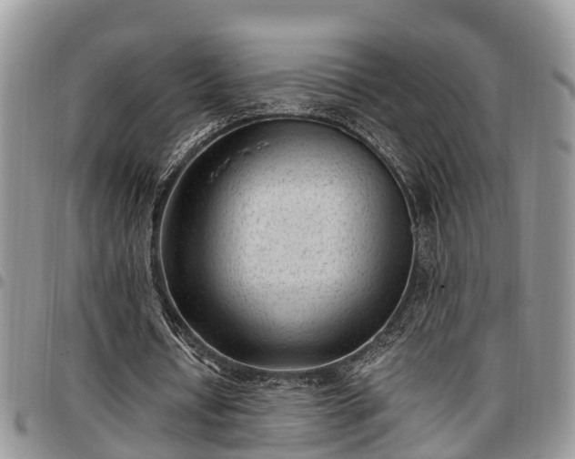 X0000097500434200802291601