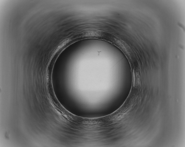 X0000097500435200802291601