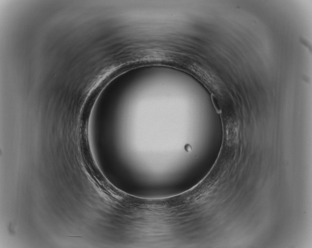 X0000097500436200802291601
