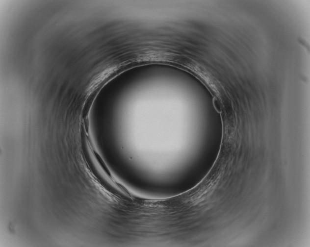 X0000097500437200802291601