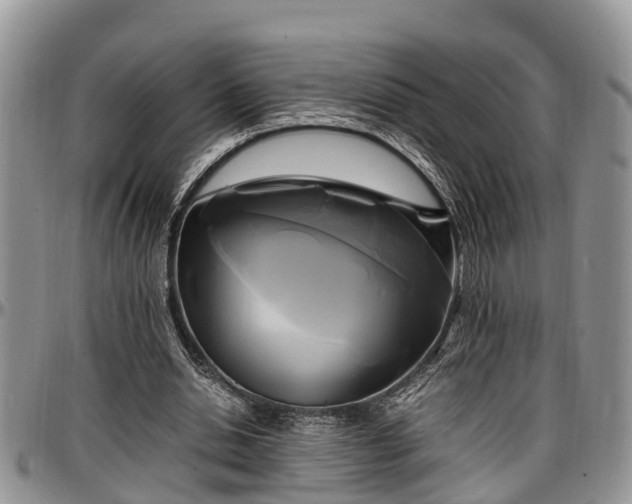 X0000097500438200802291601